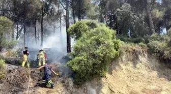 Bursa'da Çamlık Alanda Yangın Kontrol Altına Alındı