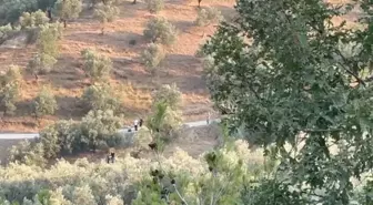 İBB Başkanı Ekrem İmamoğlu'nun Babasına Ait Arazide Jandarma Araması