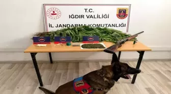Iğdır'da Uyuşturucu Operasyonu: 1 Tutuklama