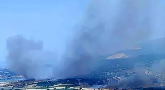 İzmir Kınık'ta Orman Yangını Kontrol Altına Alındı