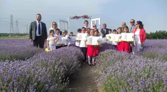 Tekirdağ'da Karneler Lavanta Tarlasında Verildi