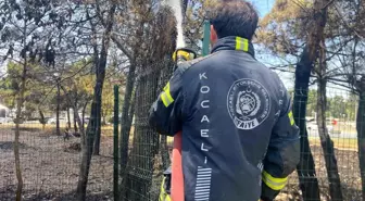 Kocaeli'nde Ağaçlık Alanda Yangın: 4 Kişi Dumandan Etkilendi