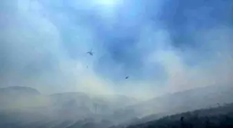 Manisa'nın Kula İlçesindeki Orman Yangınına Hızlı Müdahale