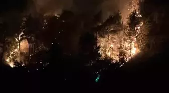 Adana'da Orman Yangını Kontrol Altına Alındı