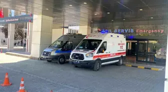 Elazığ'da Kene Isırdı, Kadın Hastaneye Kaldırıldı