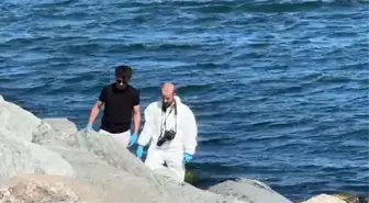 Avcılar Sahili'nde Kadın Cesedi Bulundu
