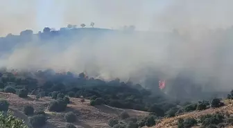 Aydın'da korkutan yangın! 3 kişi hastanelik oldu