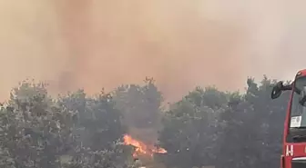 Çanakkale'de Tarım Arazisinde Yangın Çıktı