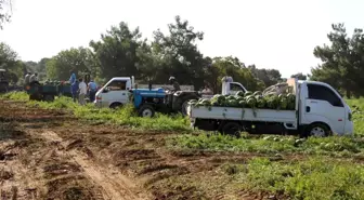 Çukurova'dan sonra Türkiye'nin gözü burada