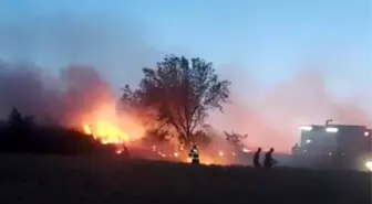Tekirdağ'da Kır Düğününde Havai Fişek Yangına Neden Oldu