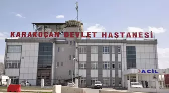 Kenenin Isırdığı Kadın Hastaneye Kaldırıldı