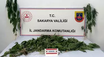 Sakarya'da Uyuşturucu Operasyonu: 3 Kişi Tutuklandı