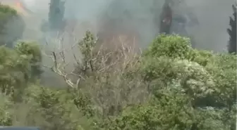 Körfez'de Yangın Kontrol Altına Alındı