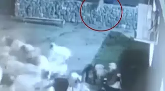Diyarbakır'da Kurt ile Koyun Arasındaki Mücadele Güvenlik Kamerasına Yansıdı