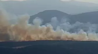 Manisa'da Orman Yangını: Ekipler Müdahale Ediyor