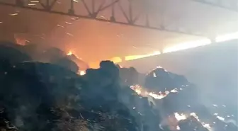 Manisa'da Çiftlikteki Yangında Binlerce Paket Saman Yandı