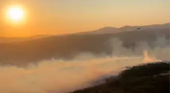 Manisa'da Orman Yangınına Hızlı Müdahale