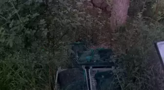 Niğde'de İzinsiz Kurbağa Toplayan 4 Kişi Yakalandı