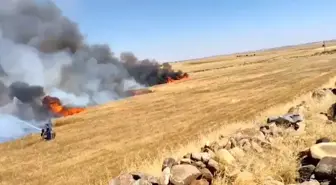 Viranşehir'de buğday arazisinde yangın: 5 yaralı