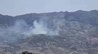 Cudi Dağı'nda Örtü Yangını Çıktı