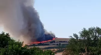 Malkara'da Yangın: 200 Dönüm Buğday Tarlasına Zarar