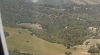 Adana İmamoğlu'nda Orman Yangını Çıktı