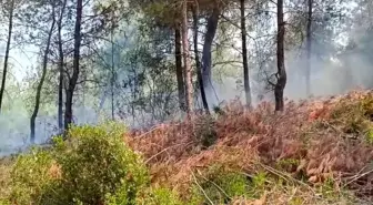 Adana'da Orman Yangını Kontrol Altına Alındı