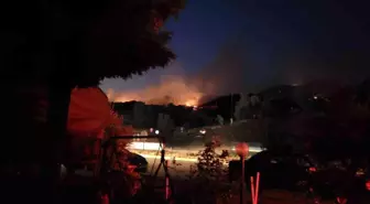 Aydın'da Tarım Arazisinde Başlayan Yangın Ormana Sıçradı
