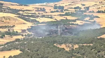 Çanakkale'nin Biga İlçesinde Yangın Kontrol Altına Alındı