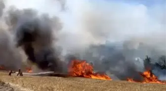 Çanakkale'de Tarım Arazisinde Yangın