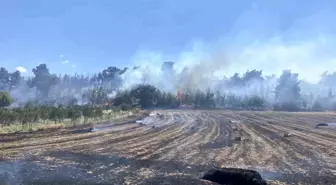 Çanakkale'de Tarım Arazisinde Başlayan Yangın Ormana Sıçradı