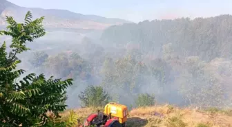 Eskişehir'de Ağaçlık Alanda Çıkan Yangın Okul Lojmanına Sıçradı