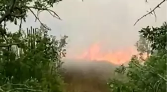 Karabük'te Anız Yangını Kontrol Altına Alındı