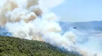 Manisa'da Yeniden Alevlenen Yangına Hava ve Kara Müdahalesi