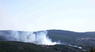 Muğla'da Tarım Arazisinde Başlayan Yangın Ormanı Tehdit Ediyor