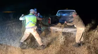 Van Gölü'nde Kaçak Avcılığa Geçit Yok: 1,5 Ton İci Kefali Ele Geçirildi