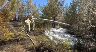 Adana'da Orman Yangını Kontrol Altına Alındı
