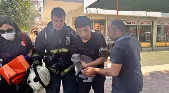 Antalya'da Yangın: Yalnız Yaşayan Genç ve Kedisi Kurtarıldı