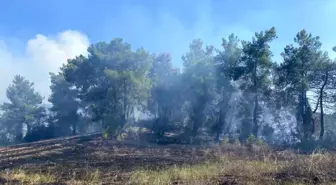 Antalya'da Orman Yangını 2 Saate Kontrol Altına Alındı