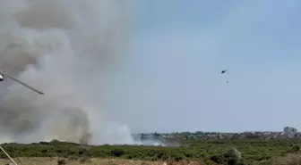 Didim'de Yangın Paniği