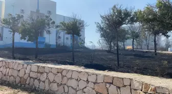 Aydın'da Yangın Sosyal Tesisin Bahçesine Sıçradı