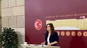 TBMM'de 'Toplumsal Barış ve Demokratikleşme Komisyonu' Kuruluyor