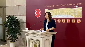TBMM'de 'Toplumsal Barış ve Demokratikleşme Komisyonu' Kuruluyor