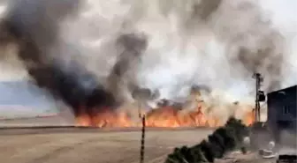 Diyarbakır'ın Çınar İlçesinde Yangın: 100 Dönüm Buğday Kül Oldu