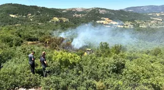 Manisa'da Orman Yangını Kontrol Altına Alındı