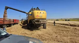 Edirne'de Biçerdöver ve Balya Makineleri Kontrol Ediliyor