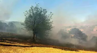Bursa'nın Kestel İlçesinde Orman Yangınına Hızla Müdahale