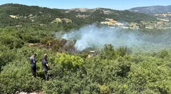 Manisa'da Orman Yangını 30 Dakikada Kontrol Altına Alındı