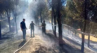 Manisa'da Orman Yangını Kısa Sürede Söndürüldü