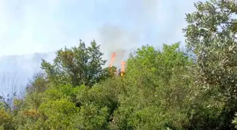 Bursa'da Tarla Yangınına Hava ve Karadan Müdahale
